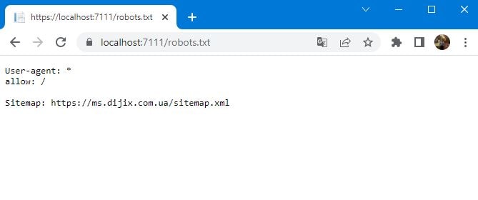 robots.txt windows